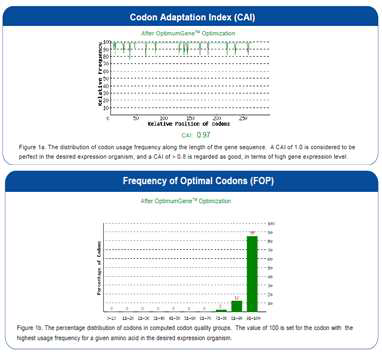 Codon optimization analysis of (a) Codon Adaptation Index (CAI) and (b) Frequency of Optical Codons (FOP) for ExEBP10.