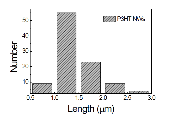 P3HT 나노와이어의 길이 분포 히스토그램
