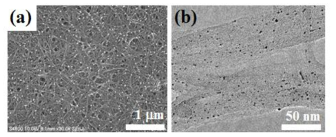 단일벽탄소나노튜브-백금 나노입자 혼합 박막의 표면(a, SEM) 및 내부 (b, TEM) 사진