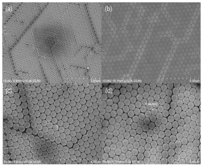 ‘convective coating’으로 제작된 구형 폴리스틸렌 입자 단일막의 주사전자현미경 사진