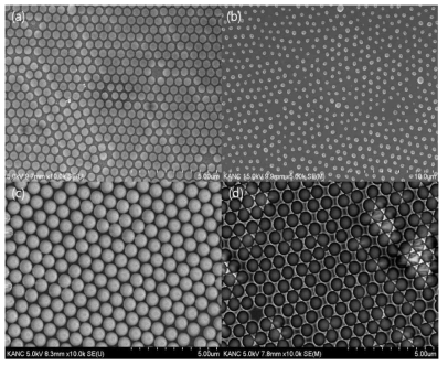 (a),(b) 구형 폴리스틸렌 입자 단일막을 Reactive Ion Etching system을 이용하여 식각한 모습과 (c) 그 위에 금속을 증착한 모습 (d) 폴리스틸렌 입자를 제거한 후의 모습