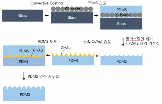 PDMS 음·양각 주형 제작과정 모식도