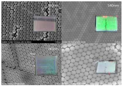 ‘convective coating'법으로 제작한 다양한 주기를 가지는 폴리스티렌 비드 육각밀집구조 단일막