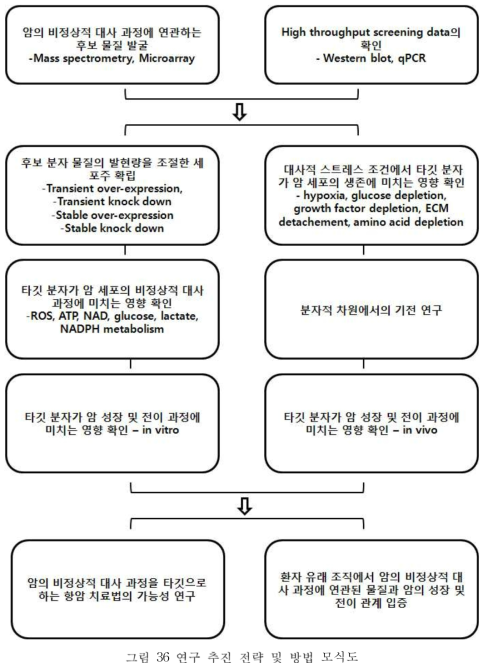 연구 추진 전략 및 방법 모식도