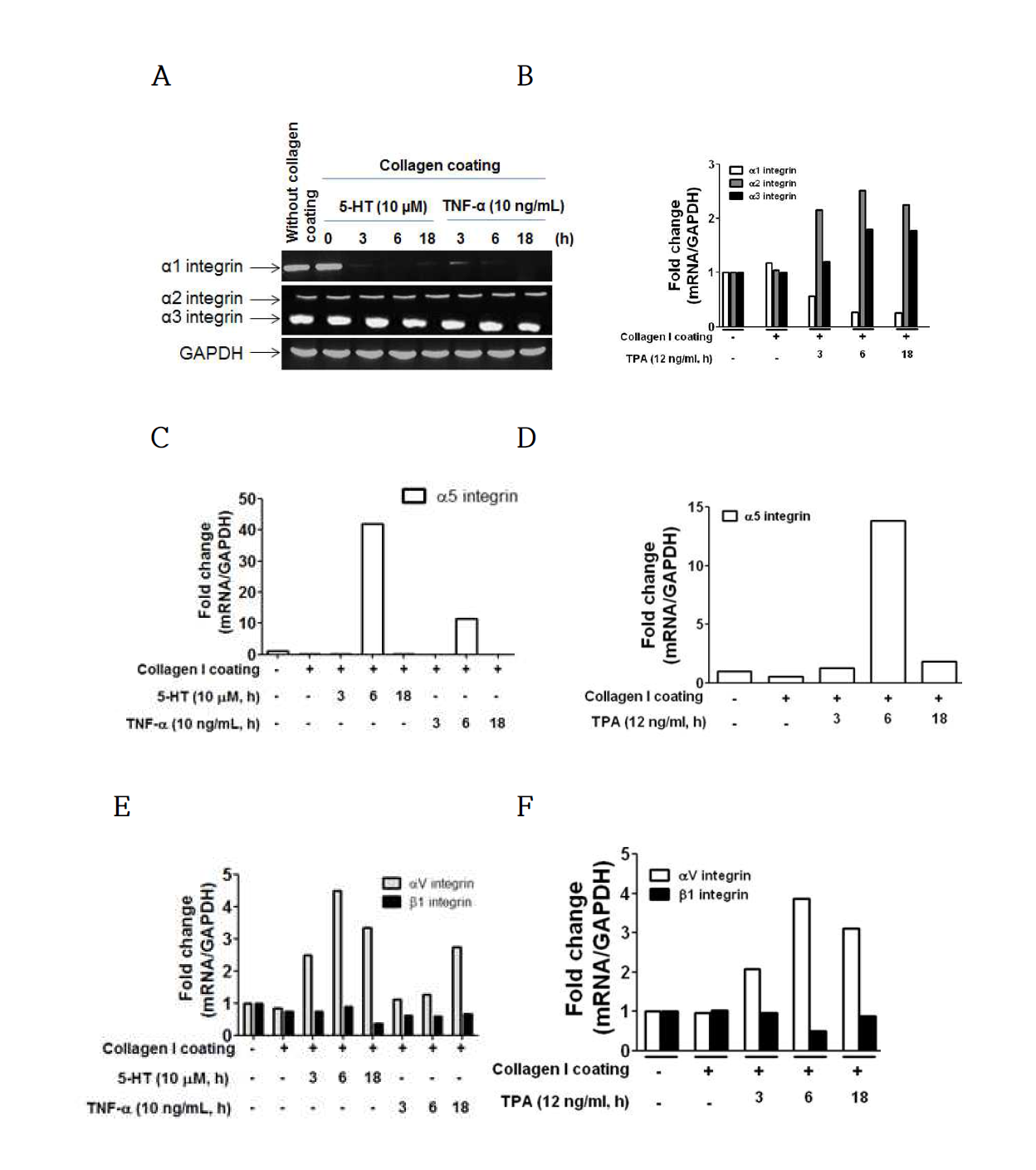 Effects of serotonin, TNFα, and TPA on the mRNA expression of various types of integrins in HT-29 cells.