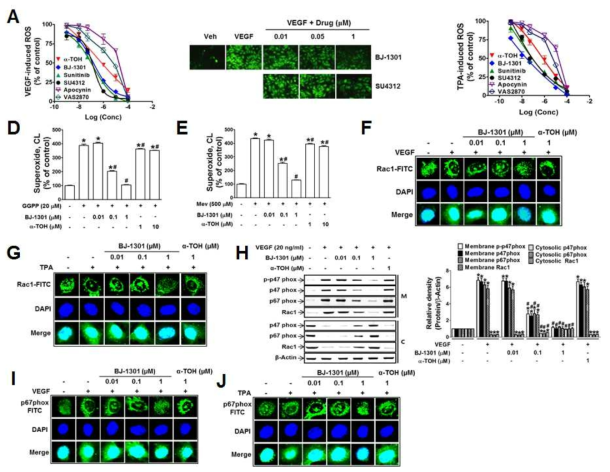 BJ-1301 suppresses VEGF- and TPA-generated ROS via NOX2 inhibition.