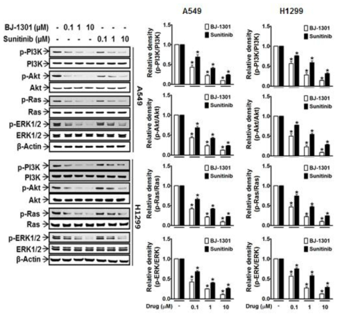 Inhibitory effects of BJ-1301 on intracellular signalling molecule activation in lung cancer cells were better than sunitinib.