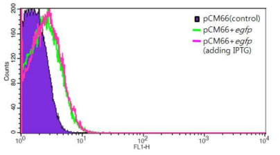 FACS로 측정한 pCM66(Plac::egfp)의 형광 정도
