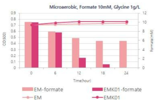 fch, mtkA, glyA 과 발현에 따른 대장균에서의 개미산 활용도