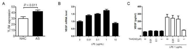 Monocyte에서 TLR-4 자극에 의한 VEGF 발현과 TAK242에 의한 생산 억제.