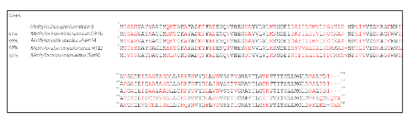 MMOB 아미노산의 서열분석을 통한 동일성 (identity) 분석 결과에서도 type II methanotrphs의 경우 높은 동일성을 보이고 있어 활성 평가 및 유사도 분석에 있어서 아미노산 변이를 이룰 수 있을 것으로 기대함.