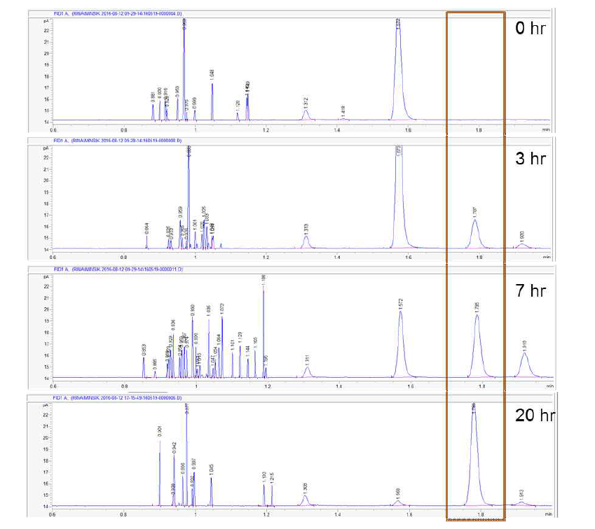 메탄균주 (Methylosinus sporium strain 5)를 NMS media에서 구리이온을 배제한 조건으로 methanol의 생성을 확인하였음. 갈색 박스는 GC-MS를 이용하여 관측된 methanol 생성 retention time으로 시간에 따른 증가량을 확인함