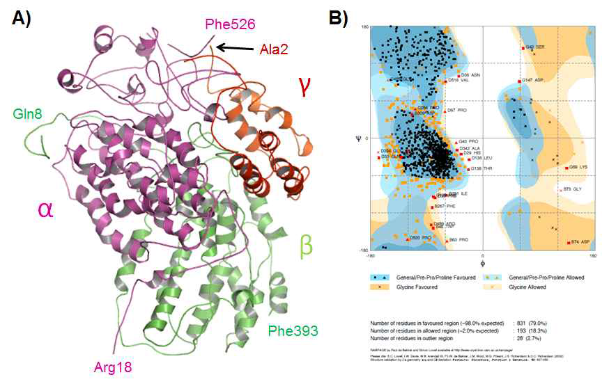 3.0Å 분해능에서 Overall structure of MMOH와 PROCHECK 결과