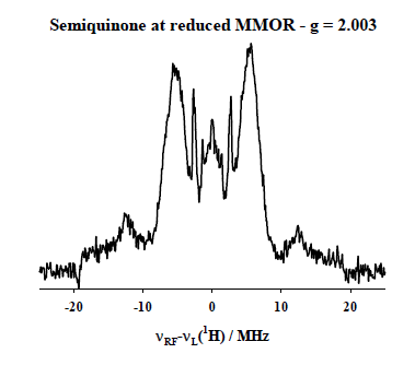 34 Ghz 1H Davies ENDOR를 측정하여 semiquinone의 proton 위치 확인.