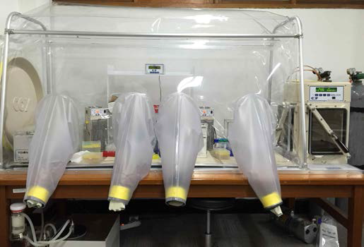 Anaerobic chamber 구성. 혐기성 조건으로 diferrous state를 유지하며 buffer의 산화 방지.