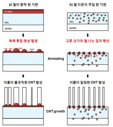 Fe deposited 기판과 Fe implanted 기판에서 CNT를 합성 할 때의 과정과 모식도