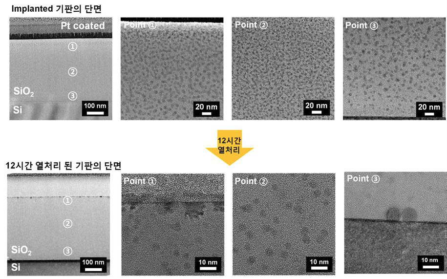 Fe implanted 기판의 열처리 전, 후(12 시간)의 단면 TEM 사진