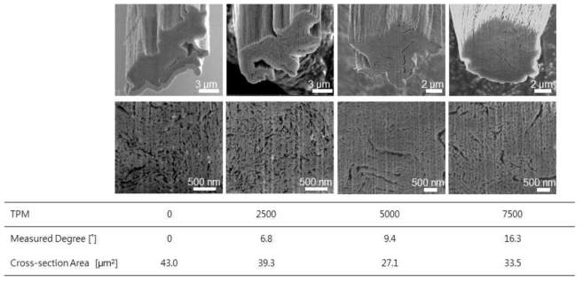 Turns per meter (TPM) 에따른 Twisted CNT fiber의 단면