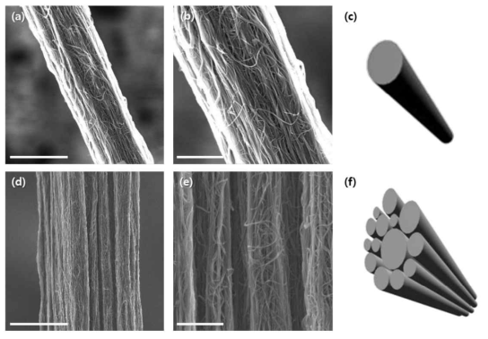 Elastocapillary effect로 하나의 축으로 packing된 CNT fiber (a), (b), (c) 와 여러 개의 축으로 packing된 CNT fiber (d),(e),(f) (scale bar: (a),(d)에서는 5 μm, (b),(e)에서는 1 μm)