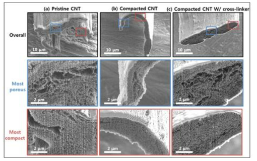 CNT fiber의 roller 처리 전, 후의 단면 SEM 측정 결과
