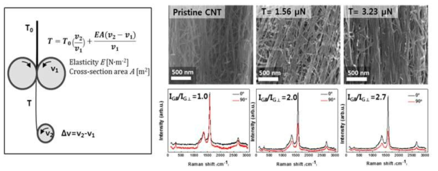 Stretching 모식도 및 속도 차에 따른 SEM과 Raman Spectroscopy 결과