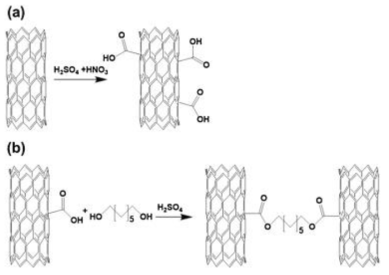 CNT fiber의 화학 반응 과정으로 (a) acid treatment 과정과 (b) esterification 반응을 통해 CNT들 사이에 공유결합 형성