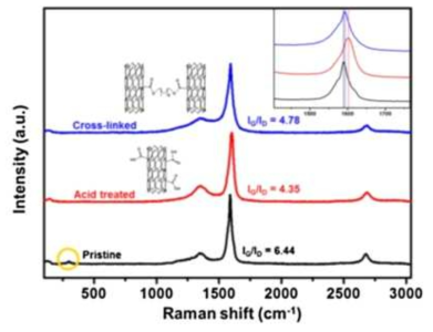 CNT fiber의 Raman spectra