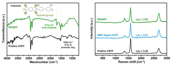 FT-IR 및 Raman spectroscopy 결과