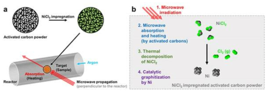 마이크로웨이브 흑연화 관련 모식도. (a) 실험 개요. (b) 반응 순서도.