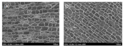 (a) 코르크 (b) 탄화코르크의 주사전자현미경 사진