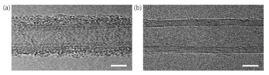 (a) 열처리 전 탄소나노튜브의 투과전자현미경 사진, (b) 열처리(340 ℃, 15분) 후 탄소나노튜브의 투과전자현미경 사진, 스케일바: 5 nm