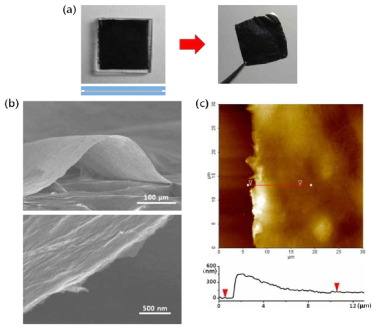(a)제작된 그래핀 필름 (b)그래핀 필름의 SEM 이미지 (c)그래핀 필름의 AFM 이미지