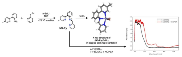 피리딘 기반 N3 트리덴테이트 N3-Py 리간드 합성 경로 및 단결정 X-선 회절 실험을 통해 구한 철(II) 착물의 3차원 구조. 리간드와 철(II) 이온을 이용하여 in situ로 생성된 착물에 산화제 첨가 전과 후의 변화를 추적하는 저온 UV-vis 분광학 실험 결과
