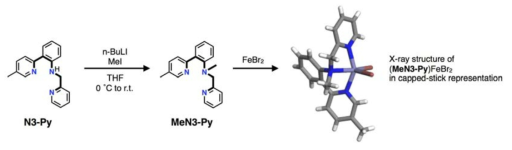 MeN3-Py 리간드 합성 및 단결정 X-선 회절 실험을 통해 구한 철(II) 착물의 3차원 구조.
