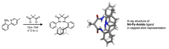 아미드 짝지움 반응을 통한 N4-Py-Amido 리간드 합성 및 단결정 X-선 회절법으로 결정한 3차원 구조