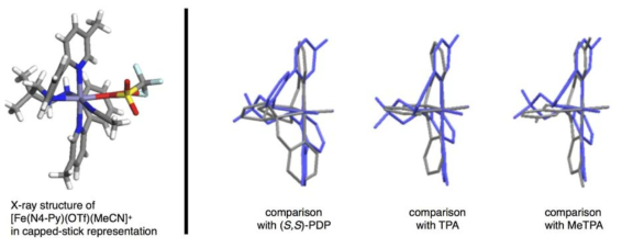 [Fe(N4-Py)(OTf)(MeCN)]+ 착물의 3차원 구조 및 관련된 6배위 철(II) 착물과의 구조 비교