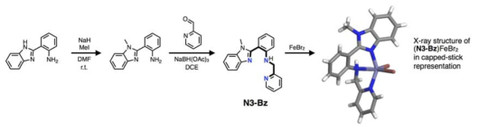 N3-Bz 리간드 합성 및 철(II) 착물의 단결정 X-선 구조 결정