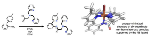 철-옥소 종을 지지할 수 있는 새로운 anilidopyridyl 기반 펜타덴테이트 리간드 합성과 착화합물 구조 모델링