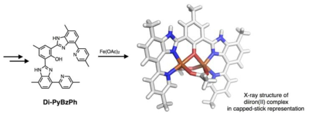 이핵 금속 중심을 지지할 수 있는 새로운 N4O 펜타덴테이트 리간드 Di-PyBzPh의 합성 및 형성된 철(II) 착물의 단결정 X-선 구조