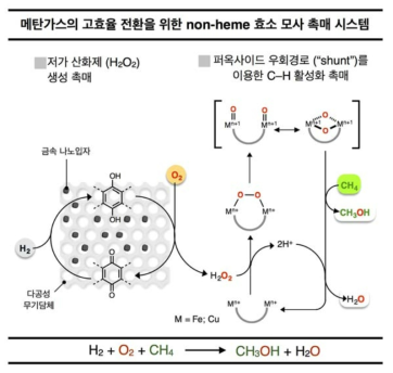 연구 최종 목표 및 개요