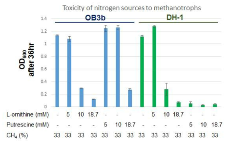메탄자화균들에 대한 L-ornithine 및 putrescine의 독성 탐색