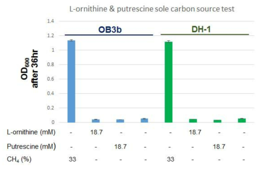 L-ornithine, putrescine의 유일 탄소원으로써의 활용 가능성 확인