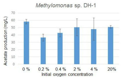 초기 산소 농도에 따른 Methylomonas sp. DH-1의 acetate 생산