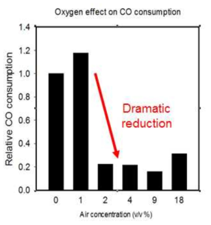 Eubacterium limosum의 CO 대사에 대한 산소의 영향력 확인