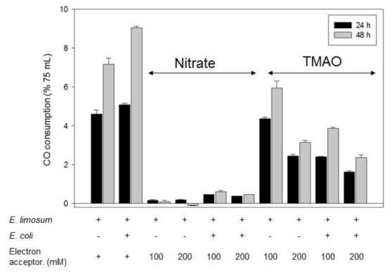 Eubacterium limosum의 CO 대사에 대한 전자수용체 (nitrate, TMAO)의 영향력 확인