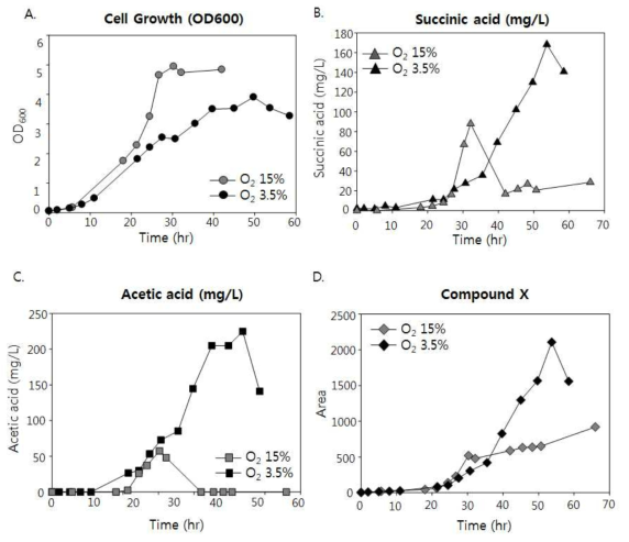 산소농도에 따른 야생형 균주 (DH-1)의 생장 (A) 및 유기산 생성 패턴 변화 (B, C, D)