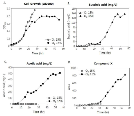 산소농도에 따른 ΔsdhB 돌연변이 균주의 생장 (A) 및 유기산 생성 패턴 변화 (B, C, D)