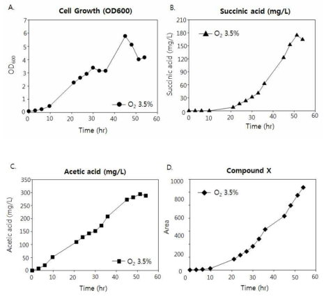 산소농도에 따른 ΔsdhB 돌연변이 균주의 생장 (A) 및 유기산 생성 패턴 변화 (B, C, D)