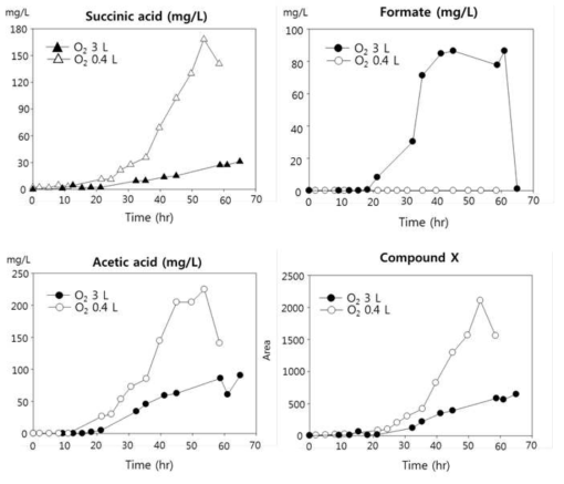 3 L 배양시 유기산 생성