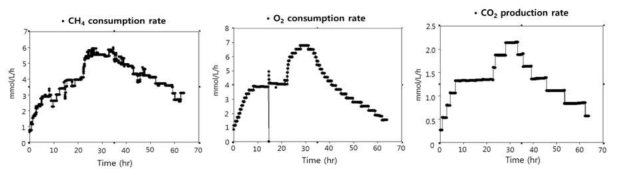 실시간 공급 가스 (CH4, O2) 소모량 및 생산가스량 (CO2) 측정